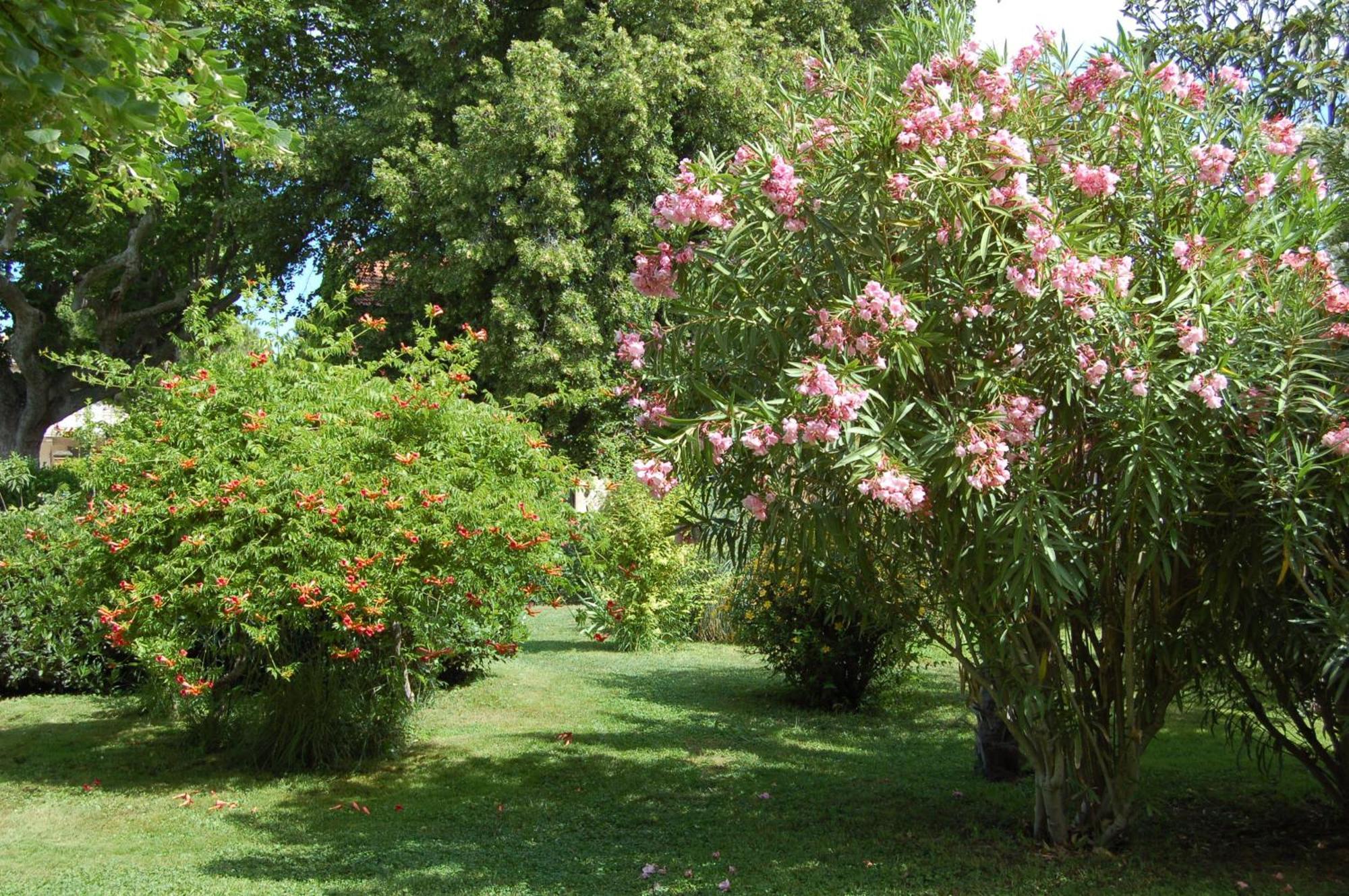 Le Mas Ferrand Bed and Breakfast Graveson Buitenkant foto