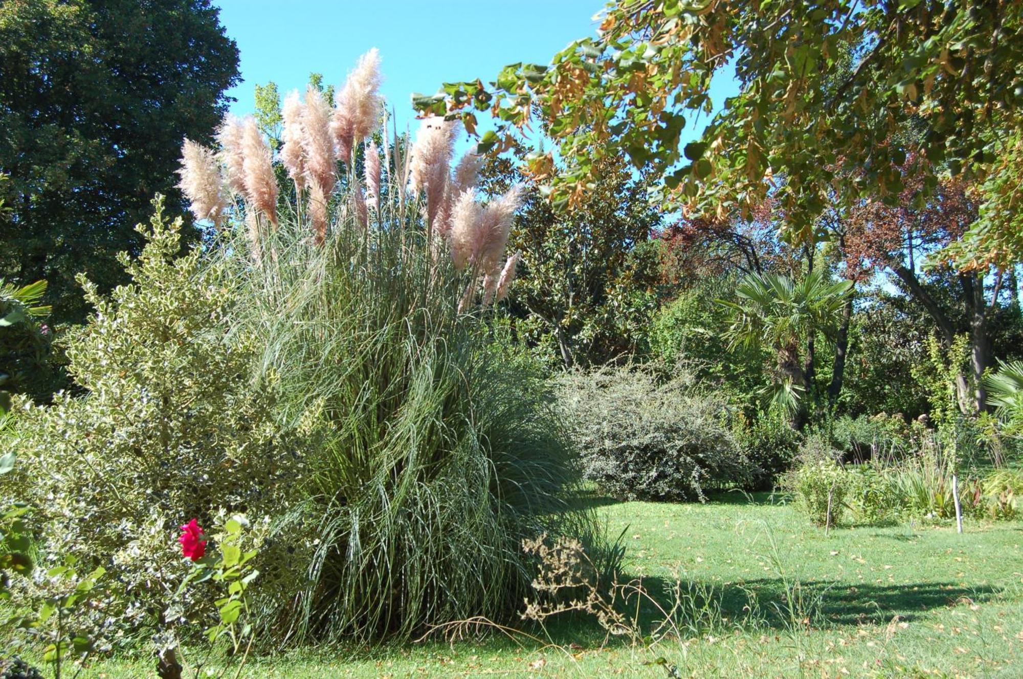 Le Mas Ferrand Bed and Breakfast Graveson Buitenkant foto