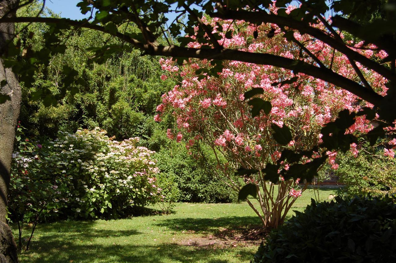 Le Mas Ferrand Bed and Breakfast Graveson Buitenkant foto